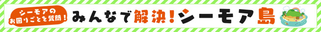 みんなで解決!シーモア島