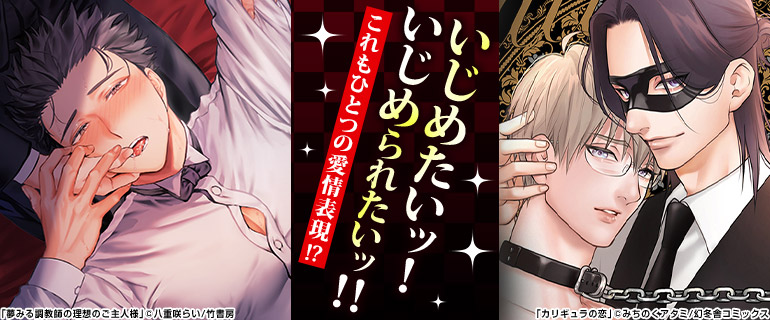 ボーイズラブ|レベル別SM特集