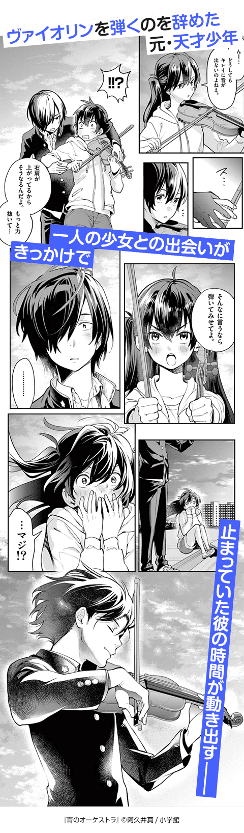 コマサム