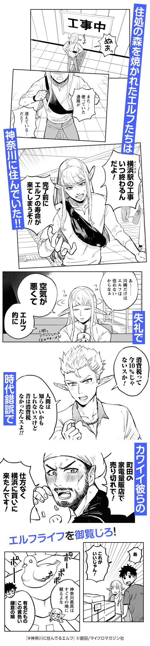 コマサム
