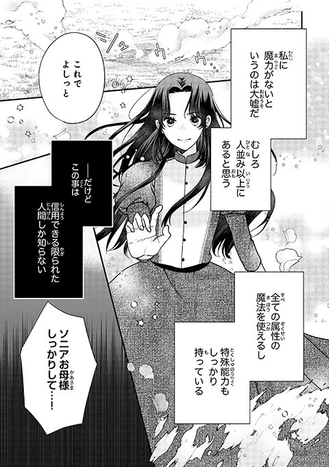 koma13