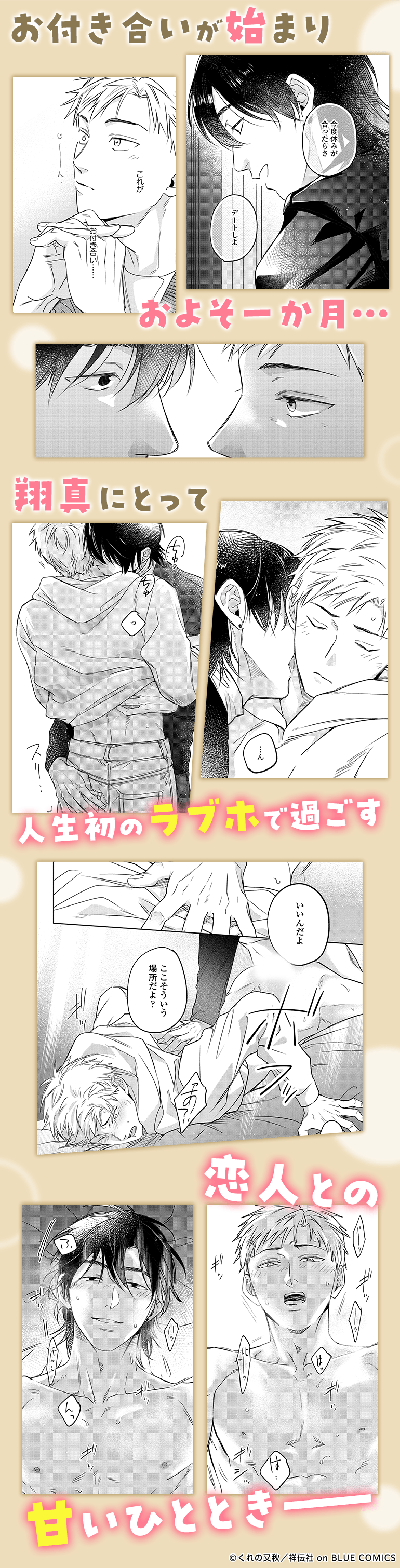 愛し 番外編【シーモア限定BOOK】