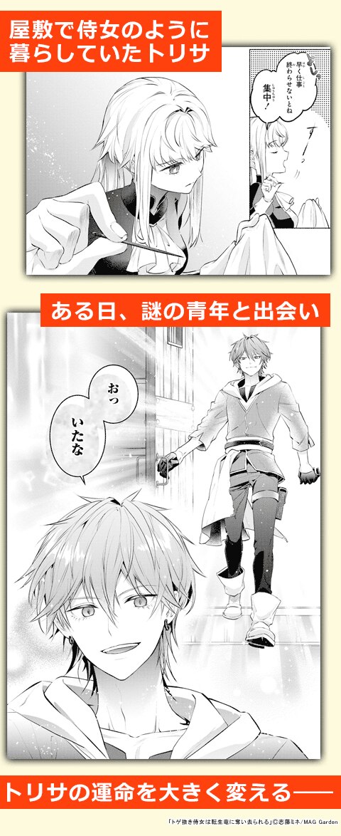 トゲ抜き侍女は転生竜に奪い去られる
