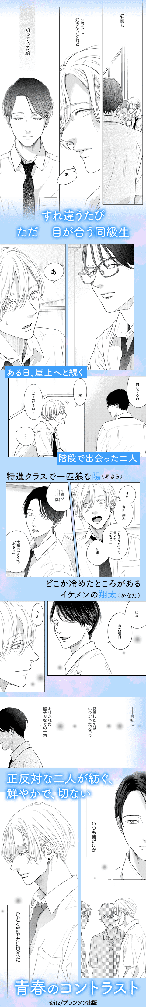 コントラスト