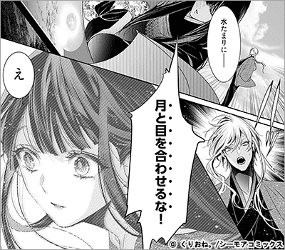 嘘月姫の嫁入り～捨てられた私が狼神様に寵愛されるまで～【描き下ろしおまけ付き特装版】 2巻