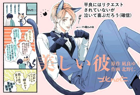 「美しい彼」番外編集【電子限定版】