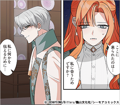 結婚ではなく破産したいんです！(フルカラー) 14巻