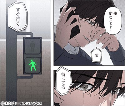 アンダーカバーダーリン(フルカラー) 9巻