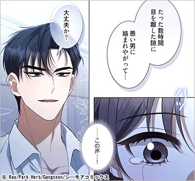 年上ヤクザに激重愛を向けられて～甘く危険な支配と快楽～(フルカラー)