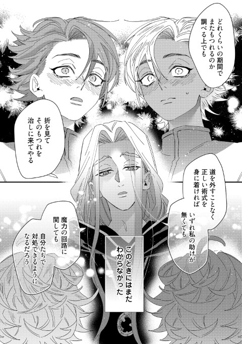 瑞土の国の宮廷魔術師は安寧を願う