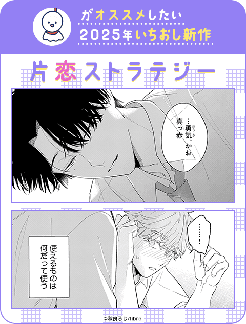 片恋ストラテジー