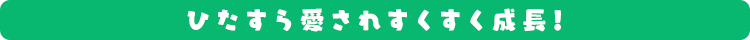 ひたすら愛されてすくすく成長！