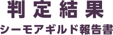 判定結果シーモアギルド報告書