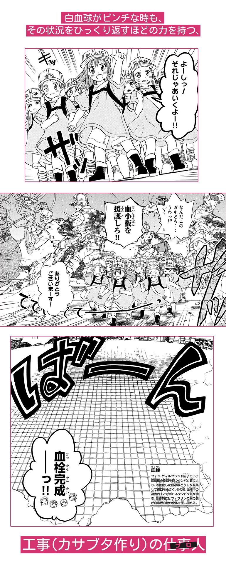 かさぶた作りのプロ