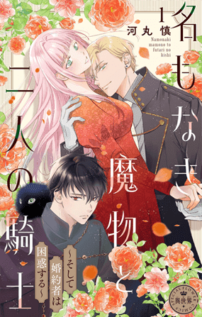 騎士書影