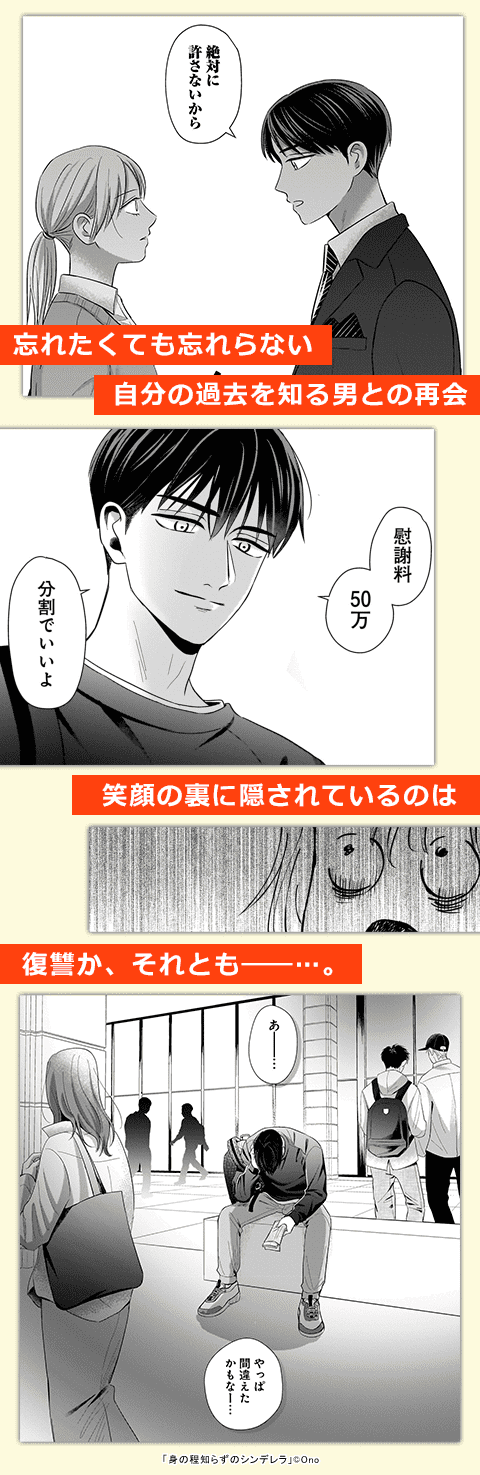 身の程知らずのシンデレラ