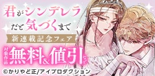 『君がシンデレラだと気づくまで』新連載記念フェア