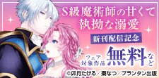 S級魔術師の甘くて執拗な溺愛  配信開始記念