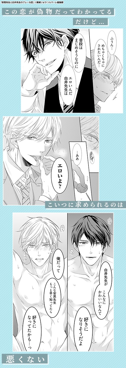安黒先生と白井先生のグレーな恋【描き下ろしおまけ付き特装版】