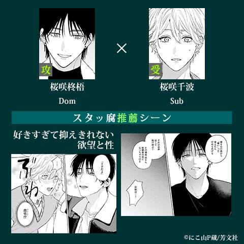 Domの弟は秘密だらけ【電子限定おまけ付き】