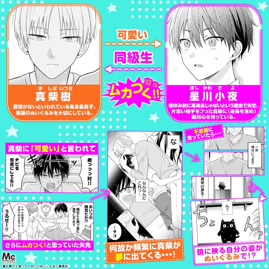 誰か夢だと言ってくれ