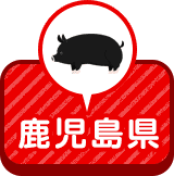 鹿児島県
