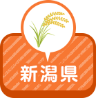 新潟県
