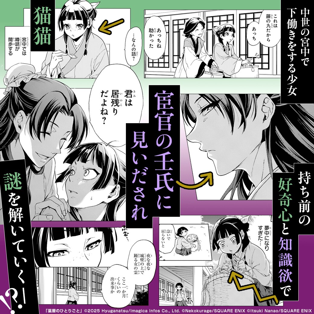 薬屋のひとりごと