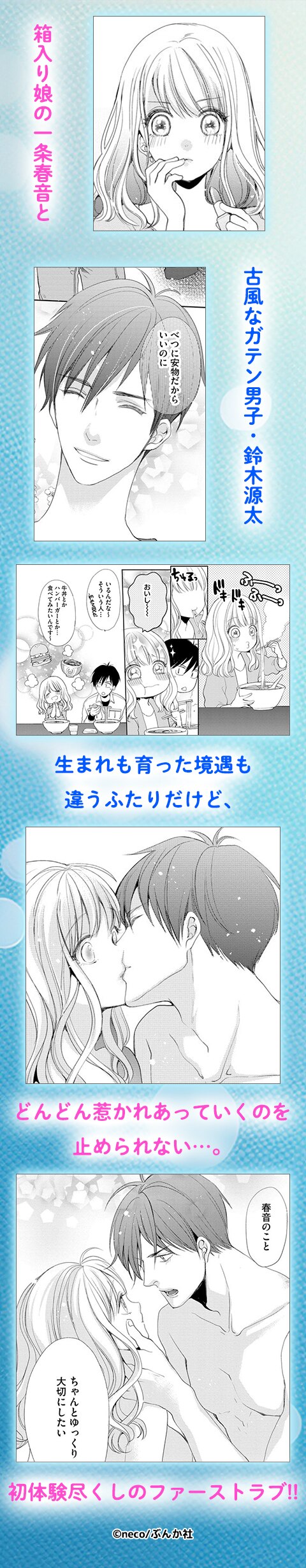 箱入り乙女とガテンの王子様