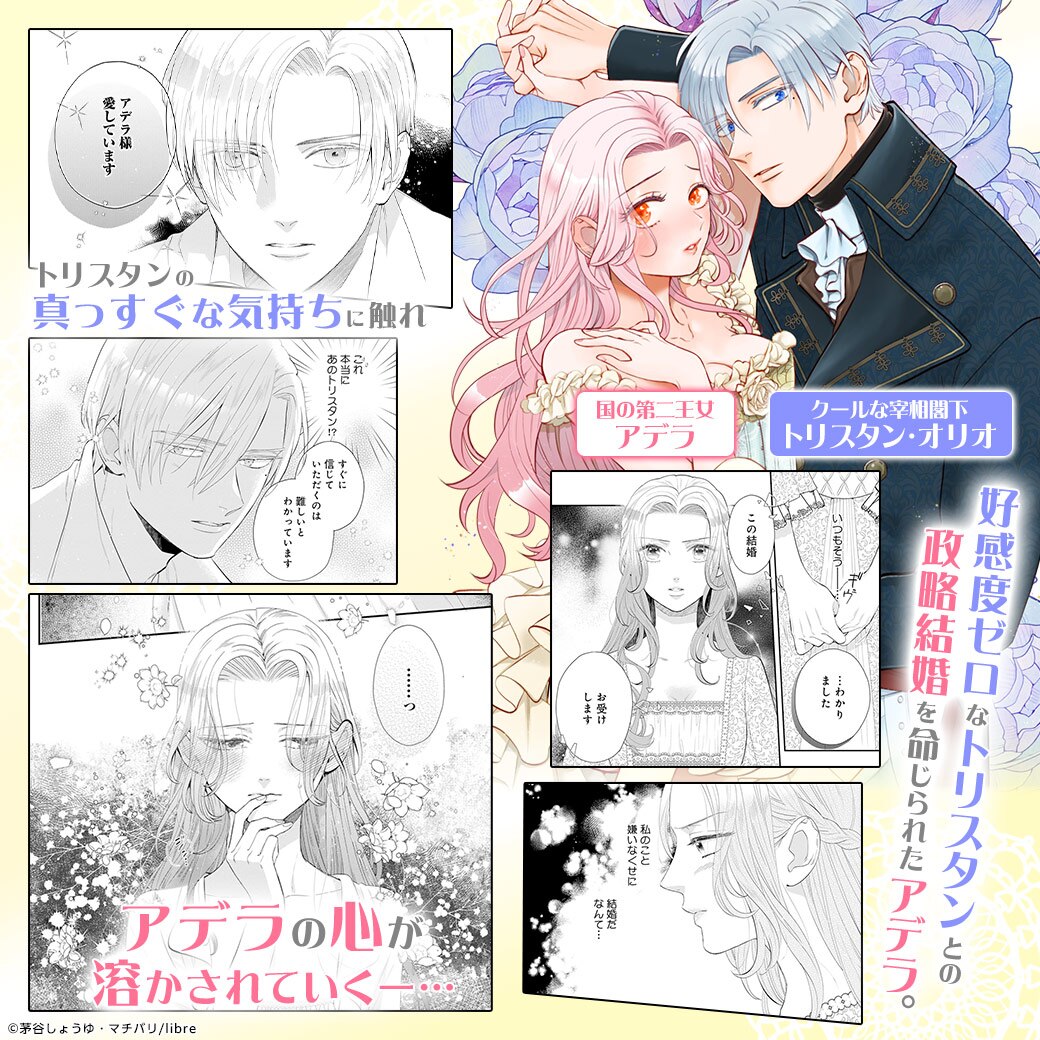 電子コミック大賞2026 歴代受賞作品【TL編】 | TL(ティーンズラブ)特集
