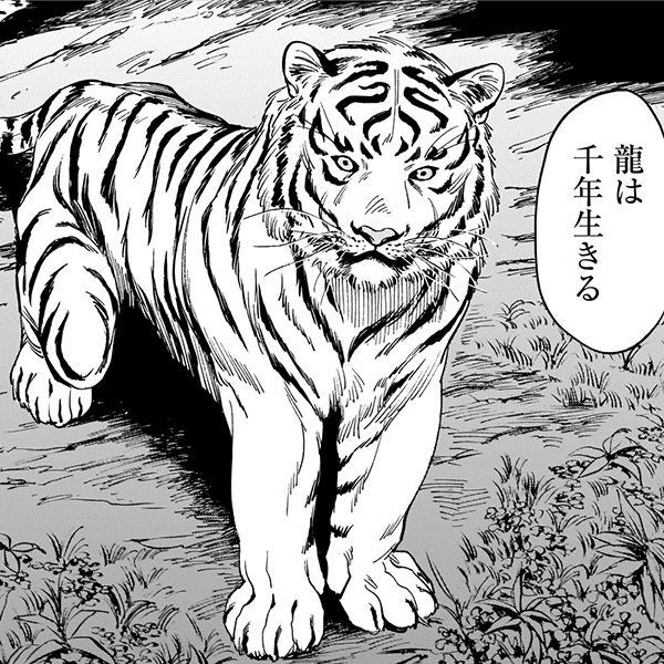コマサム