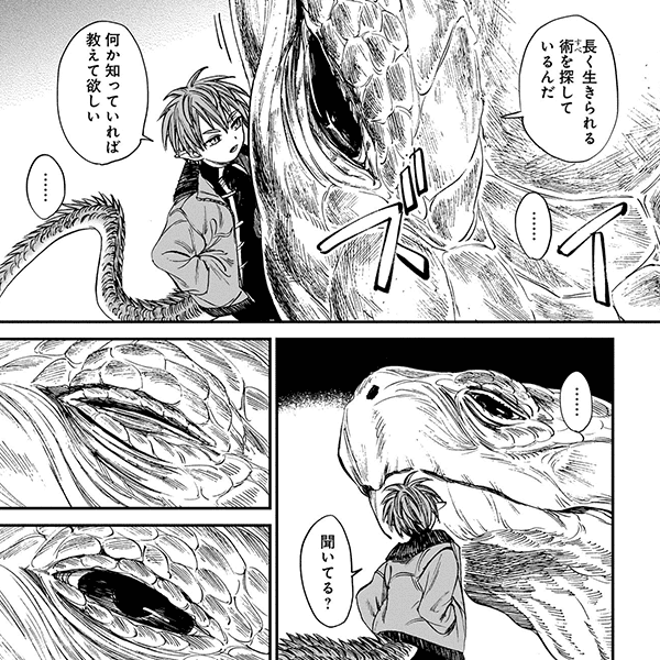 コマサム