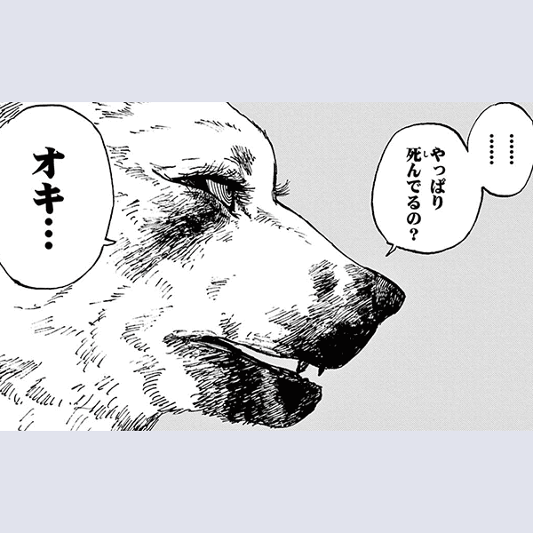 コマサム