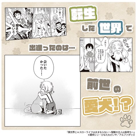 異世界じゃスローライフはままならない ～聖獣の主人は島育ち～