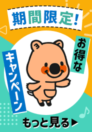 期間限定！お得なキャンペーンをもっと見る