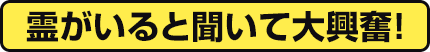 霊がいると聞いて大興奮！
