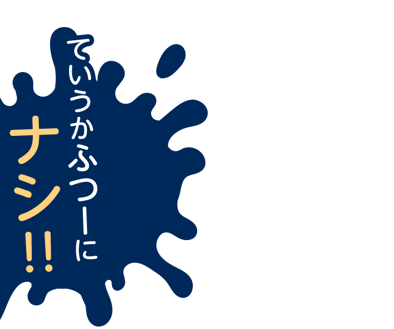 ていうかふつーにナシ！！