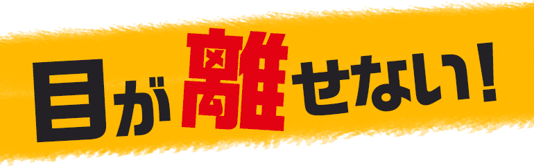 目が離せない！