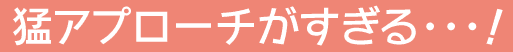 猛アプローチがすぎる…！