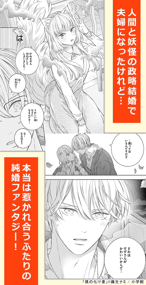 僕の化け妻【マイクロ】