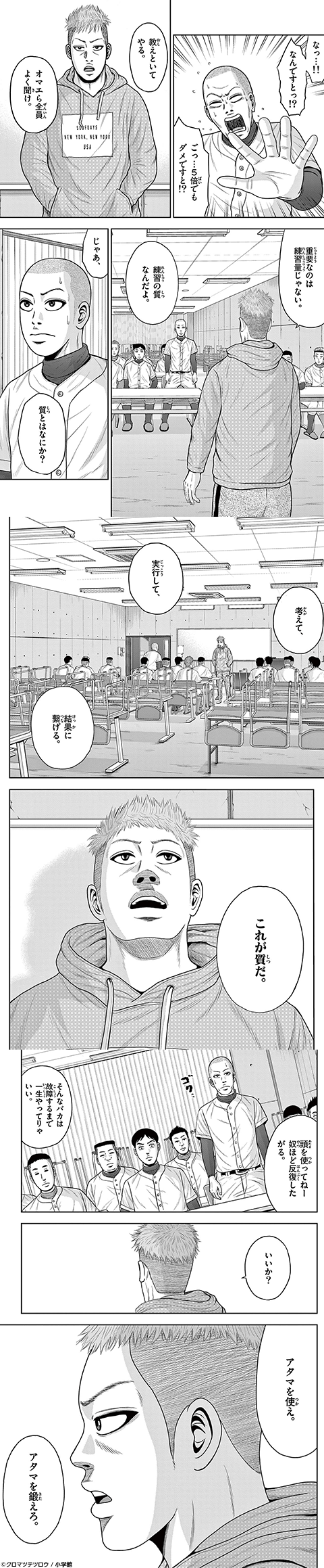 ベー革