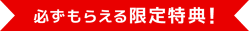 必ずもらえる限定特典！