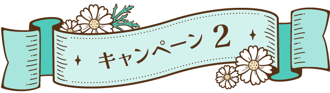 キャンペーン 2